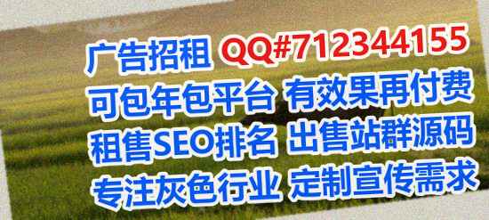 霞山借腹生子集成电路有限公司